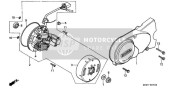 Linkes Kurbelgehäuse Abdeckung/ Genarator (C90C/E/G/N)
